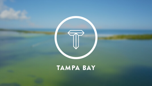 Tampa Bay About